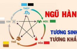 Soi số đề con vật từ lịch âm