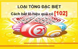 Loại tổng đặc biệt trong ngày hôm nay chuẩn xác nhất